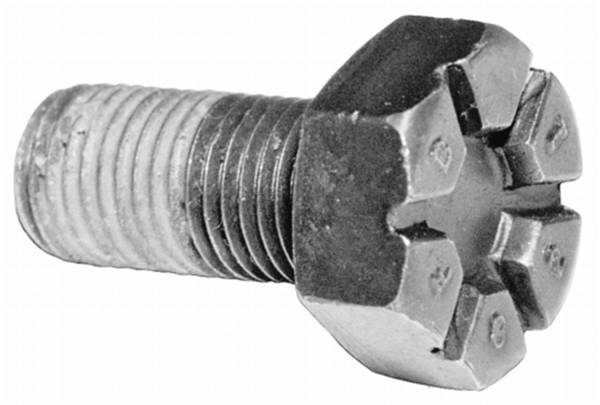 Ford Performance Parts - Ford Performance Differential Ring Gear Bolt Kit | M-4216-A210