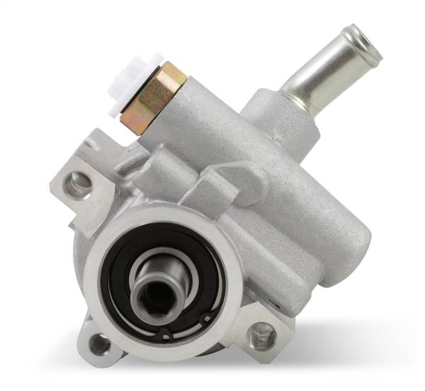 Holley - Holley Power Steering Pump | 198-100