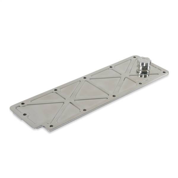 Holley - Holley LS Valley Cover | 241-361