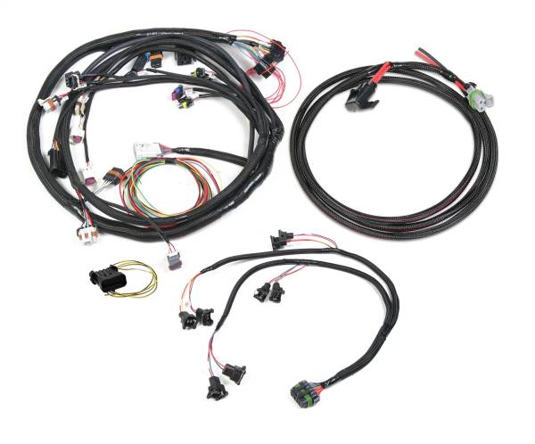 Holley EFI - Holley EFI Universal Multi-Point Main Harness | 558-504