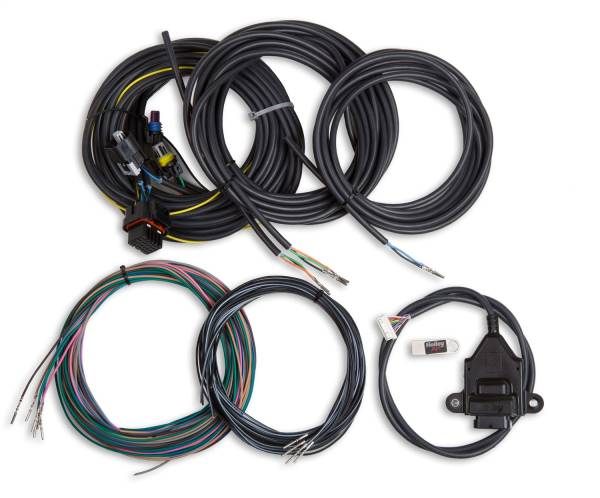 Holley EFI - Holley EFI Digital Dash I/O Adapter w/Terminated Vehicle Harness | 558-434