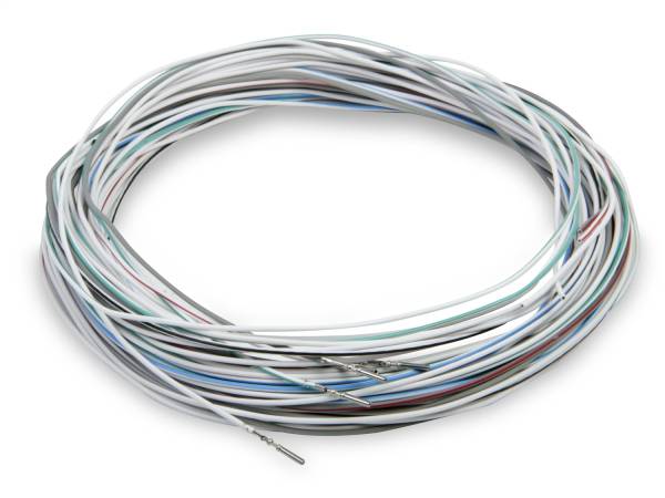 Holley EFI - Holley EFI TerminatorÂ® EFI Wiring Harness | 558-420