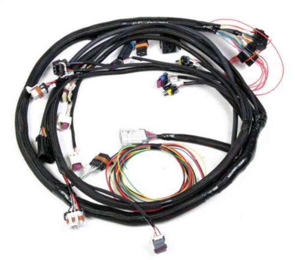 Holley EFI - Holley EFI Engine Main Harness | 558-128