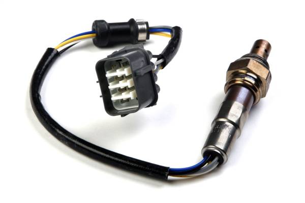 Holley EFI - Holley EFI Wideband Oxygen Sensor | 534-190