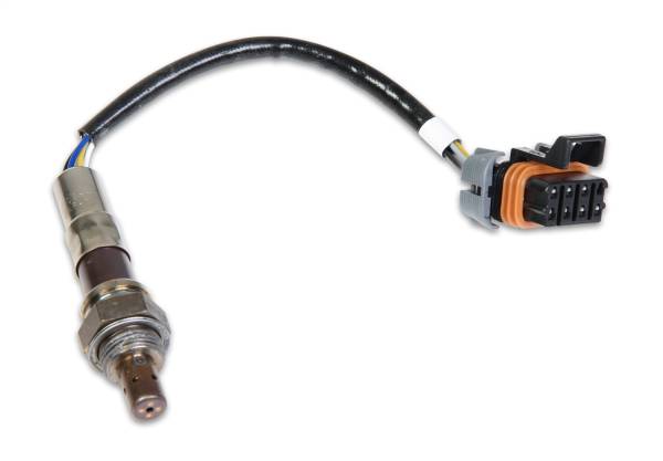 Holley EFI - Holley EFI Wideband Oxygen Sensor | 554-100