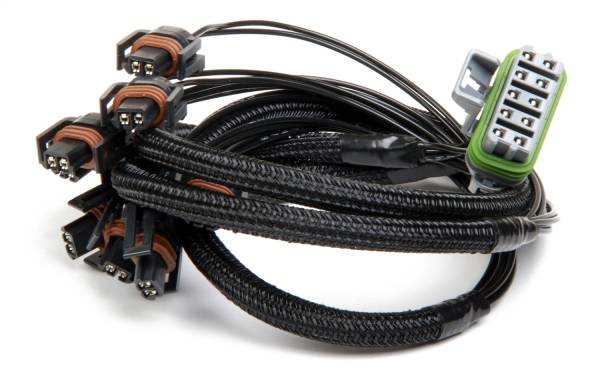 Holley EFI - Holley EFI Fuel Injection Wire Harness | 558-206