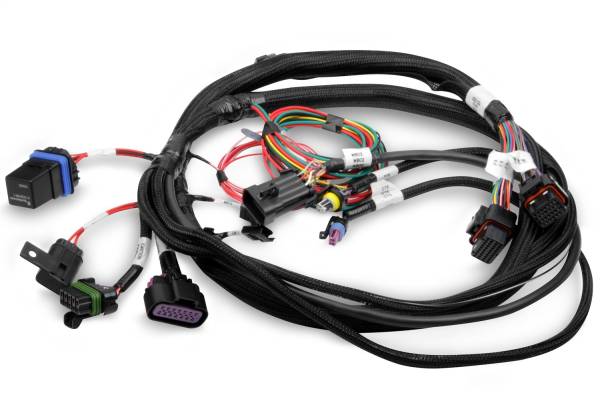 Holley EFI - Holley EFI TerminatorÂ® EFI Wiring Harness | 558-414