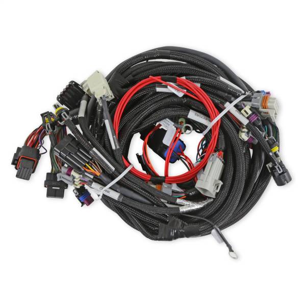 Holley EFI - Holley EFI LS Main Harness | 558-134