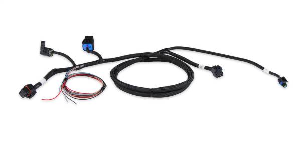 Holley EFI - Holley EFI Terminator X Transmission Control Harness | 558-473