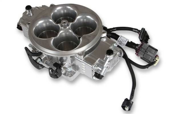 Holley EFI - Holley EFI Terminator X Stealth 4500 System | 534-301