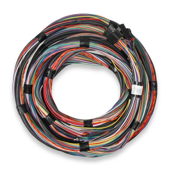 Holley EFI - Holley EFI Unterminated Main Engine Wire Harness | 558-126