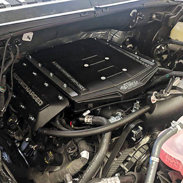 Edelbrock - Edelbrock Edelbrock Stage 1 Supercharger Kit #15812 For 2019-21 Ford F-150 5.0L 4V W/ Tune Ford:Modular Coyote 4V:302 (5.0L) | 15812