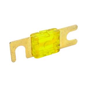 Nitrous Express 100 AMP Fuse | SNF-25012