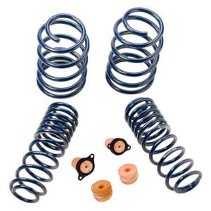 Ford Performance Parts - Ford Performance Boss 302 Spring Kit | M-5300-T