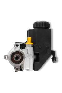 Holley Power Steering Pump | 198-104