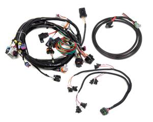 Holley EFI Fuel Injection Wire Harness | 558-500