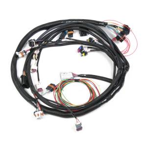 Holley EFI Fuel Injection Wire Harness | 558-103