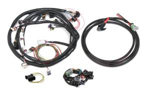 Holley EFI Injector Harness | 558-508