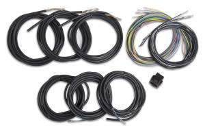 Holley EFI Unterminated Vehicle Harness For Digital Dash | 558-435