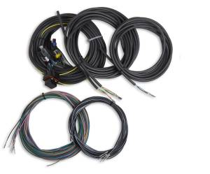 Holley EFI Terminated Vehicle Harness For Digital Dash | 558-436