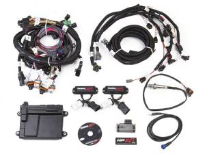 Holley EFI Injector Harness | 550-616