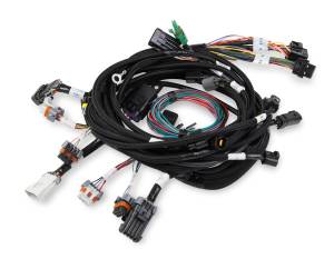 Holley EFI Injector Harness | 558-108