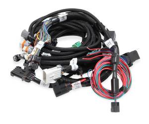 Holley EFI Main Power Ignition Harness | 558-113