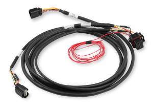 Holley EFI Injector Harness | 558-422