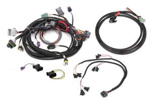 Holley EFI Fuel Injection Wire Harness | 558-503