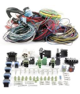 Holley EFI Commander 950 Main Wiring Harness | 534-143