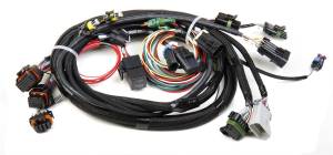 Holley EFI TPI/Stealth Ram Main Harness | 558-101