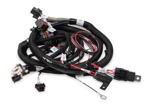 Holley EFI TerminatorÂ® Throttle Body Harness | 558-111