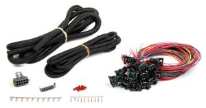 Holley EFI Fuel Injection Wire Harness | 558-207