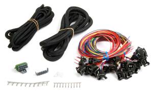 Holley EFI Fuel Injection Wire Harness | 558-208