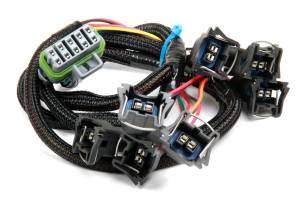 Holley EFI Injector Harness | 558-209