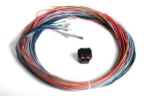 Holley EFI Dominator EFI Connector J2B Auxiliary Harness | 558-402