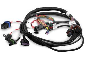 Holley EFI TerminatorÂ® EFI Wiring Harness | 558-414