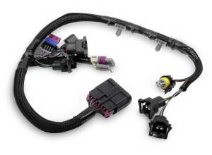 Holley EFI TerminatorÂ® Throttle Body Harness | 558-415