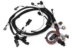 Holley EFI HEMI Main Harness | 558-115