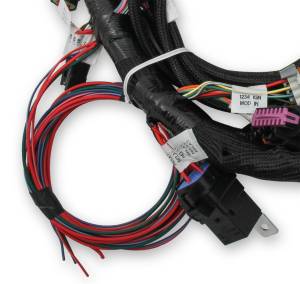 Holley EFI - Holley EFI Ford Coyote TI-VCT Engine Main Wiring Harness | 558-110 - Image 2