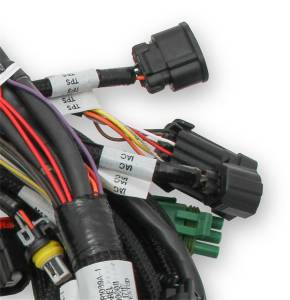 Holley EFI - Holley EFI Ford Coyote TI-VCT Engine Main Wiring Harness | 558-110 - Image 3