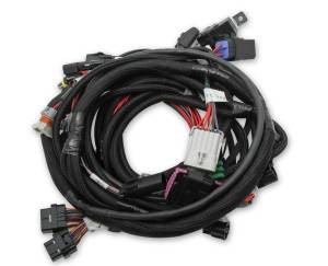 Holley EFI Ford Coyote TI-VCT Engine Main Wiring Harness | 558-122