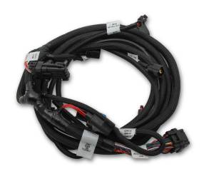 Holley EFI Ford Coyote TI-VCT Sub Wiring Harness | 558-124