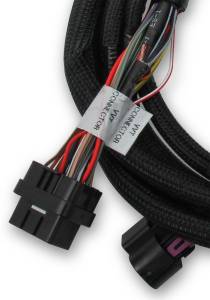 Holley EFI - Holley EFI Ford Coyote TI-VCT Sub Wiring Harness | 558-125 - Image 3