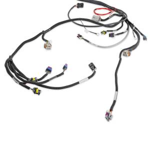 Holley EFI - Holley EFI LS Main Harness | 558-133 - Image 4