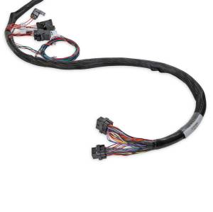 Holley EFI - Holley EFI LS Main Harness | 558-133 - Image 5