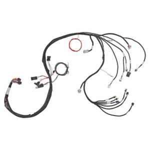 Holley EFI - Holley EFI LS Main Harness | 558-134 - Image 2