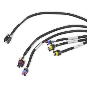 Holley EFI - Holley EFI LS Main Harness | 558-134 - Image 4