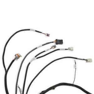 Holley EFI - Holley EFI LS Main Harness | 558-134 - Image 5