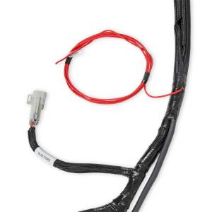 Holley EFI - Holley EFI LS Main Harness | 558-134 - Image 6